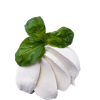 Mozzarella fraiche - NEW